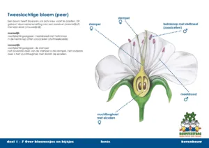 D75851d395c945a40ef157d4ce29a7b2a21b08cc